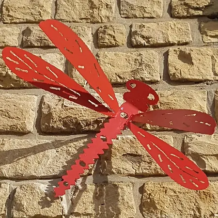 Libellule